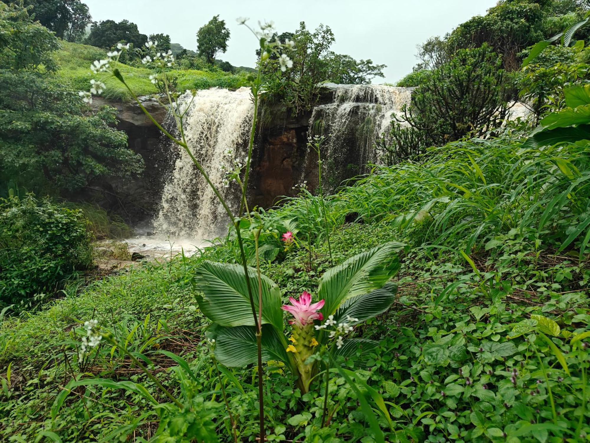 Willa Shinde'S Tikona Valley Farm Pune Zewnętrze zdjęcie